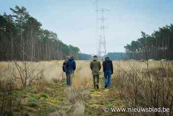 Corridor onder hoogspanningslijn wordt waardevol heidelandschap