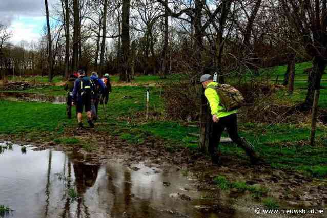 1.386 wandelaars trotseerden zware editie van wandelhappening Pajottenland op zijn mooist