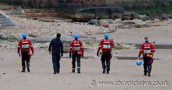 Sunderland beach searched after "suspected human remains" found