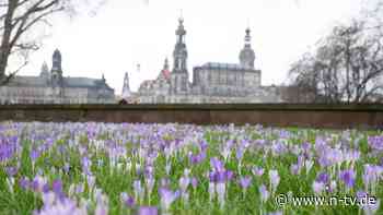 Winter scheint vorüber: Fast 20 Grad im Februar - ist das ein neuer Rekord?
