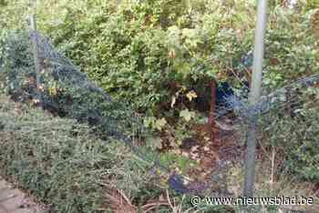 Oppositiepartij hekelt verloederd recyclagepark: “Kinderen kunnen er binnen door kapotte omheining”