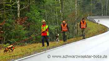 Altensteigs Hegeringleiter informiert: Im Frühjahr haben Wildunfälle Hochsaison