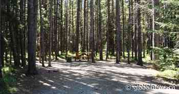 Alberta Parks launches new online platform to reserve campsites in hopes it will be more stable