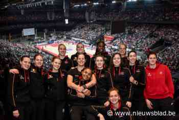 Belgian Cats doen Sportpaleis volstromen en dat is een Belgisch record: “Hier konden we 10 jaar geleden alleen maar van dromen”