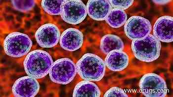 Risk Stratification Can Predict Outcomes for CAR T-Cell Therapy in Lymphoma