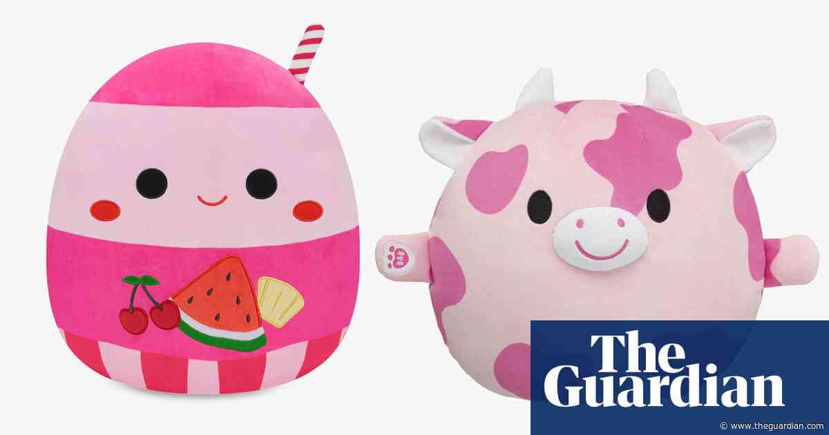Warren Buffett’s Squishmallows firm sues Build-A-Bear amid ‘knock-off’ claims