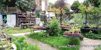 UofM Study: Your Urban Garden Has 6X Carbon Footprint Than Conventional Farming