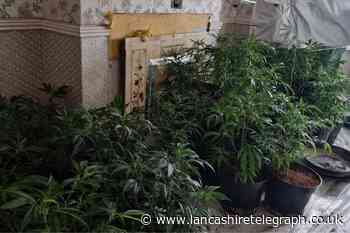 Two men charged after cannabis farm found in Chorley