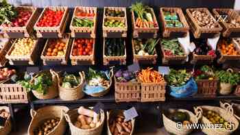 Wie stark pflanzliche Frischkost mikrobiell kontaminiert ist: Selbst Radiesli können gefährlich werden