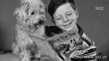 Welches Haustier macht den Menschen am glücklichsten?