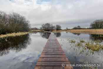 Knuppelpad in Olens Broek afgesloten wegens onveilig