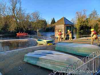 Dog rescue - Dulwich