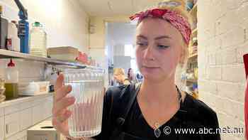 Residents of Yass have been dealing with water quality issues for years, and now they cannot drink it