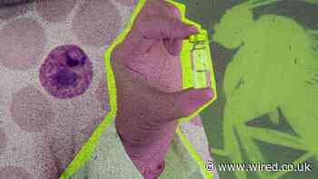 20 Things That Made the World a Better Place in 2023