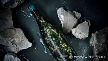 Undersea-Aged Champagne Is Starting to Surface