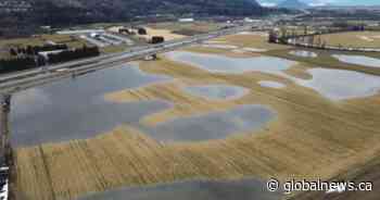 B.C. funding $76.6 million in pump station improvements for Abbotsford