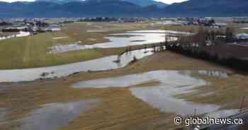 After weekend flooding, Abbotsford presses for quick approval of mitigation funds