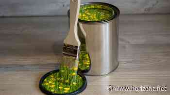 Nachhaltigkeitskommunikation: Territory und Flip stoppen Greenwashing - bevor es entsteht