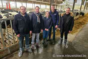 Provincie gaat landbouwers helpen om minder stikstof uit te stoten: “De wil is er, maar de regels zijn te streng”