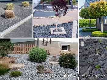 Stadt Wolfsburg ist illegalen Schottergärten auf der Spur