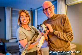 “We leefden 48 uur in angst”: Luc en Nicole overwegen juridische stappen omdat dierenarts van wacht tot vijf keer toe telefoon niet opneemt