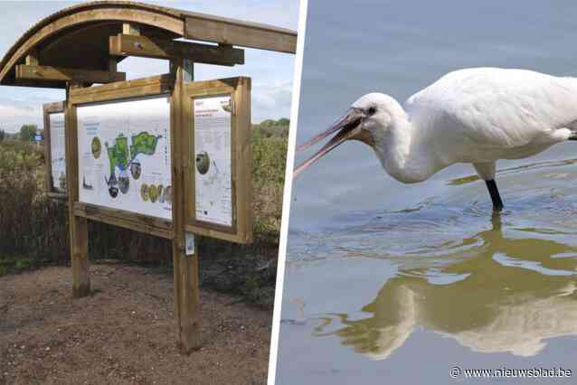 Rijke kasteelheer en Vlaamse Waterweg gedagvaard voor “illegale jachtvergunning”: “Onbegrijpelijk dat dit zo clandestien kon gebeuren”