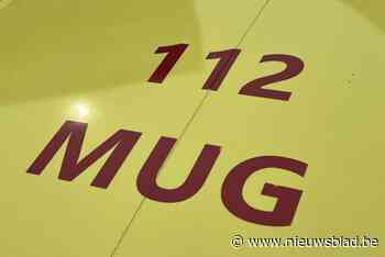 Trucker wordt onwel, kan vrachtwagen nog net voor E40 parkeren maar overlijdt ter plaatse