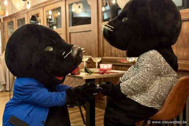 Molse mascottes Joske & Margriet zijn verloofd