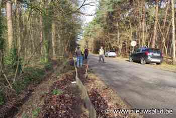 Veilige paddenoversteek in Rauw en Millegem
