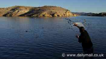 Lake Mead has risen by SEVEN FEET since start of 2024 and is now on cusp of not being in drought...but experts say America's largest reservoir will drop by 19 feet later this year