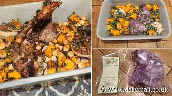 Would YOU try it? MailOnline tastes roasted grey squirrel - as experts call for Britons to eat the meat to save the native red species