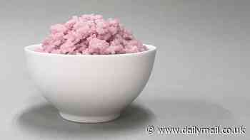 Would you try the latest 'Frankenfood'? Scientists grow beef inside rice grains to create an all-in-one ready meal