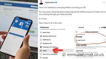 Facebook chirping? Bizarre glitch is causing the app to make an irritating refresh sound - but there's an easy way to fix it