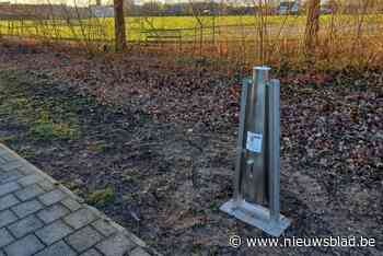 Stad breidt hondenpoepzuilen uit: “Zorgen voor netter straatbeeld”