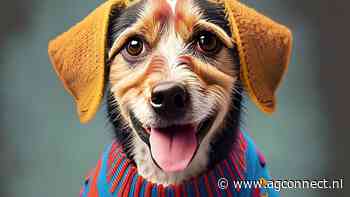 AI-pc's gaan snel de markt overnemen, voorspelt IDC