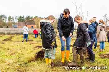 Zes basisscholen zorgen voor 1,2 hectare toekomstig bos: “Werken aan Vlaamse topnatuur”