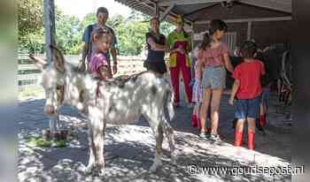 Volop activiteiten op de kinderboerderij tijdens de voorjaarsvakantie