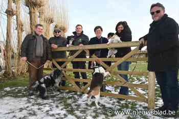 Hondenweide Kwadestraat opent in maart