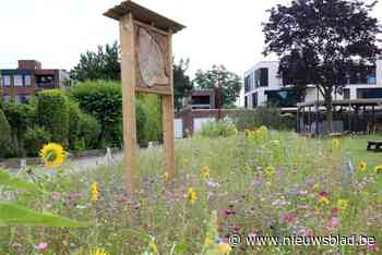 Lint en Kontich werken samen richting bijenevenement in het voorjaar