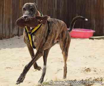 Duke desperate to swap Harefield centre for new home