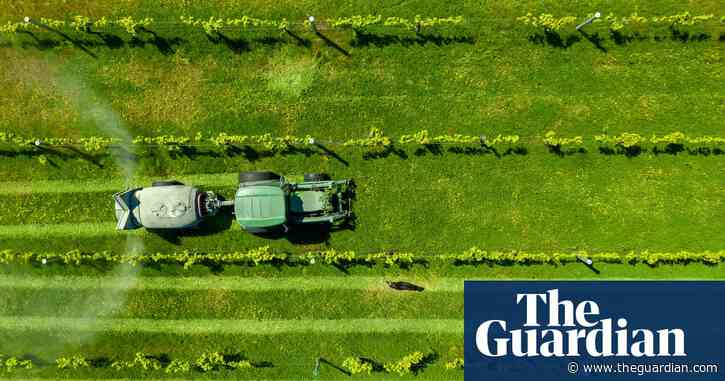 Supermarket giants hit farmers who want early payment with hefty fees