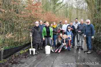 Natuurvrienden helpen kikkers veilig de straat over: “Vroeger was het hier een echt slagveld”