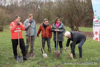 Lier bouwt aan een groenere toekomst: “Stapje dichter bij droom van Felix Timmermans”