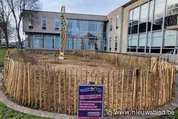 Schelle bereikt met 20.000 bomen ambitie uit Bomencharter: “Maar dit is geen eindpunt”