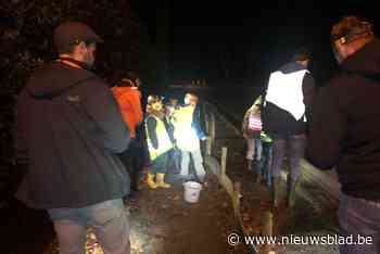 Nu al ruim 1.200 padden, kikkers en salamanders overgezet