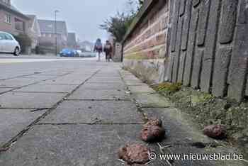 Politie gaat strijd aan tegen hondenpoep: drie personen betrapt zonder zakje