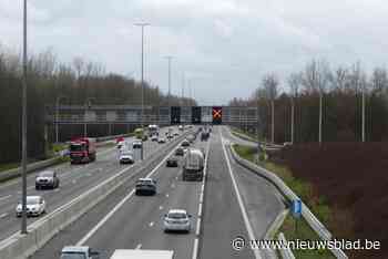 Spitsstrook op E314 moet verkeersdrukte verminderen: “Dit was echt nodig”