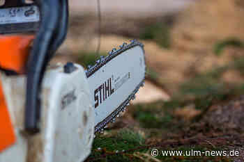 Brücken-Ersatzbau an Anschlussstelle Uni/B10/Berliner Ring: Baufläche wird gerodet