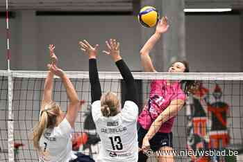 Volley Noorderkempen geeft 2-1-voorsprong uit handen tegen Oudegem: “Blijven achter met gemengde gevoelens”