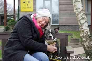 Ruby finds ‘paw-fect’ match in time for Valentine’s Day